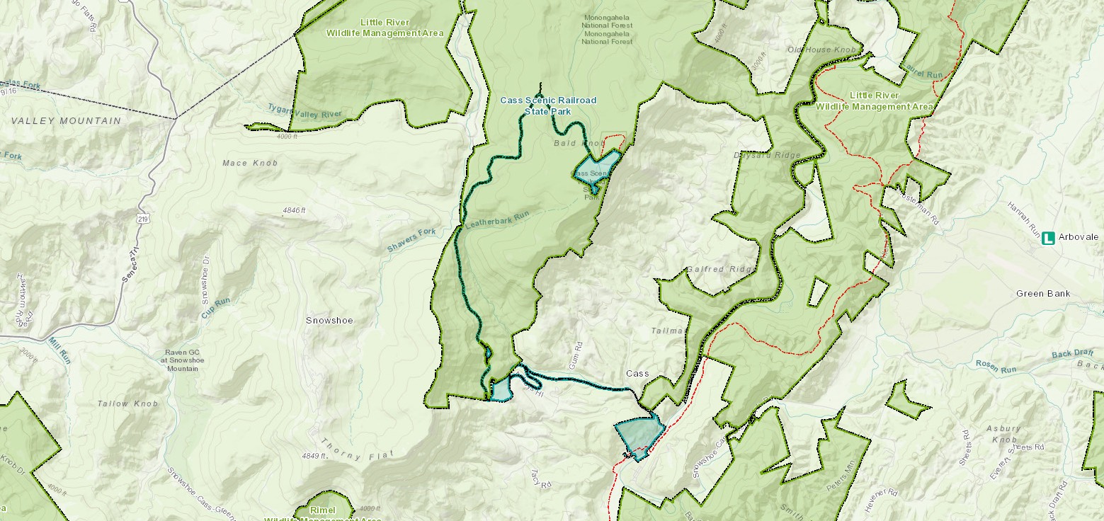 Hunting Near Cass Scenic Railroad State Park