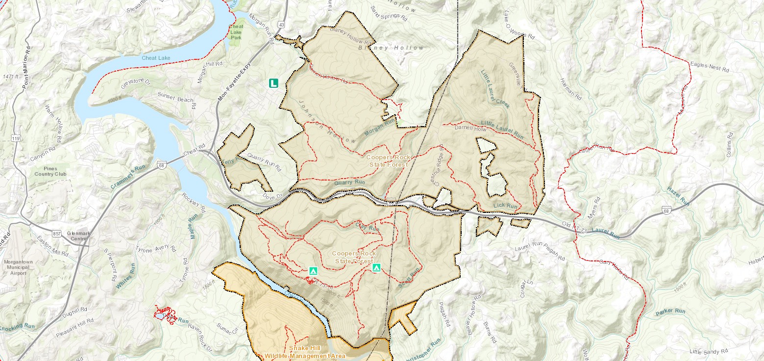Hunting in Coopers Rock State Forest